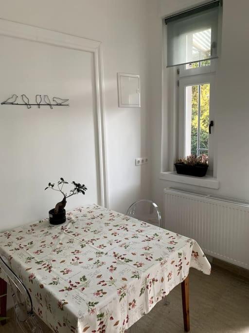 Parokia Apartman Es Coworking A Balaton Mellett Kaptalantoti Extérieur photo